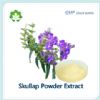 high quality skullcap powder extract
