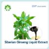 high purity siberian ginseng liquid extract