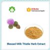 blessed milk thistle herb purifed extract for live