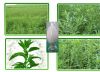 standardized stevia powder extract from china